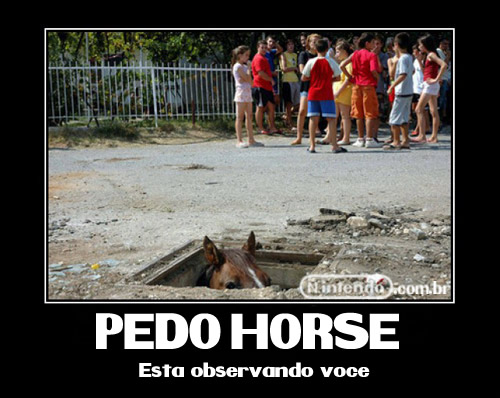 demotivational-horse-1