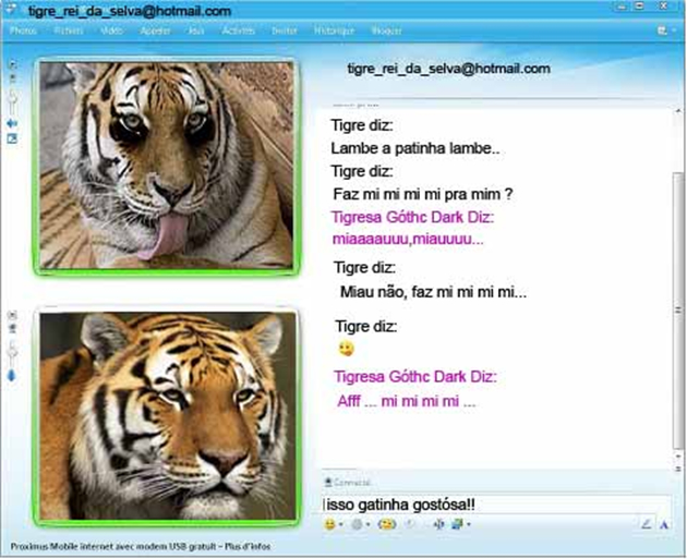 Tigre cam