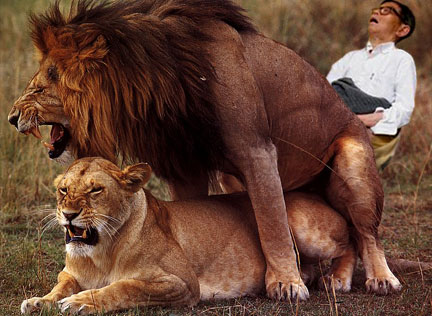 Velho Sonequinha (10)