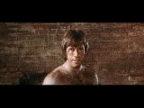 Chuck_vs_bruce_vs_starecat