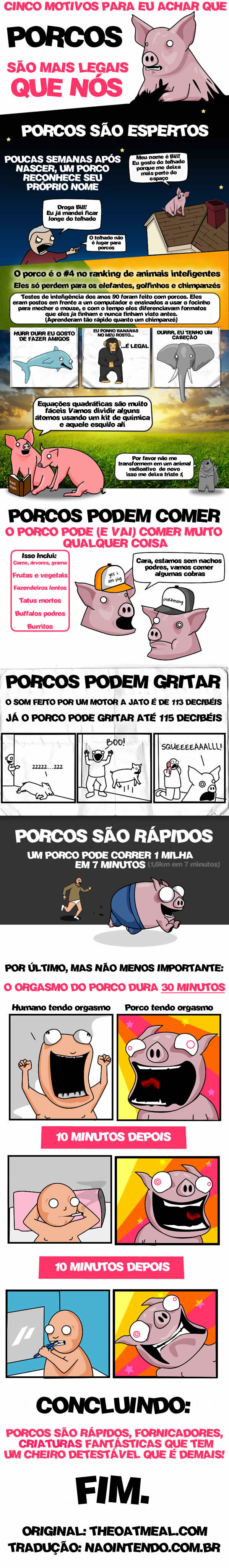 Porcos