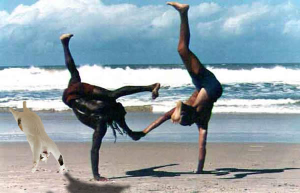 Capoeira