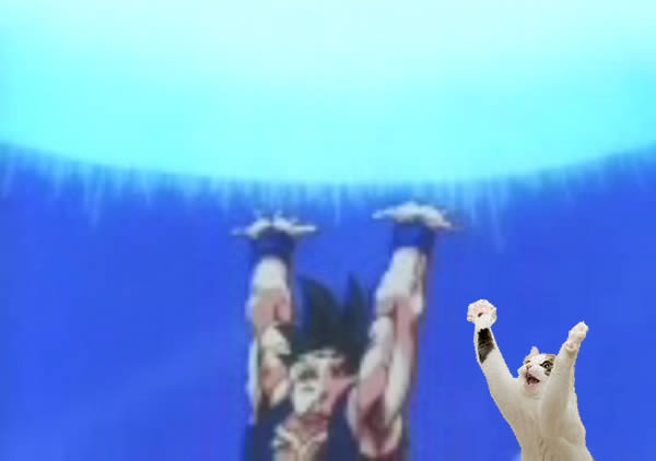 Genki Dama