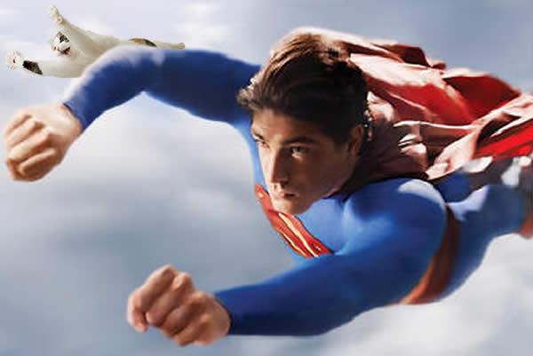 Superman