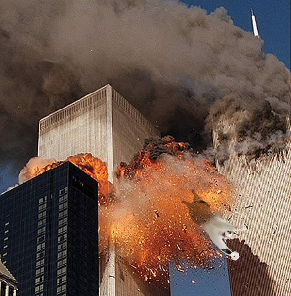 Torre