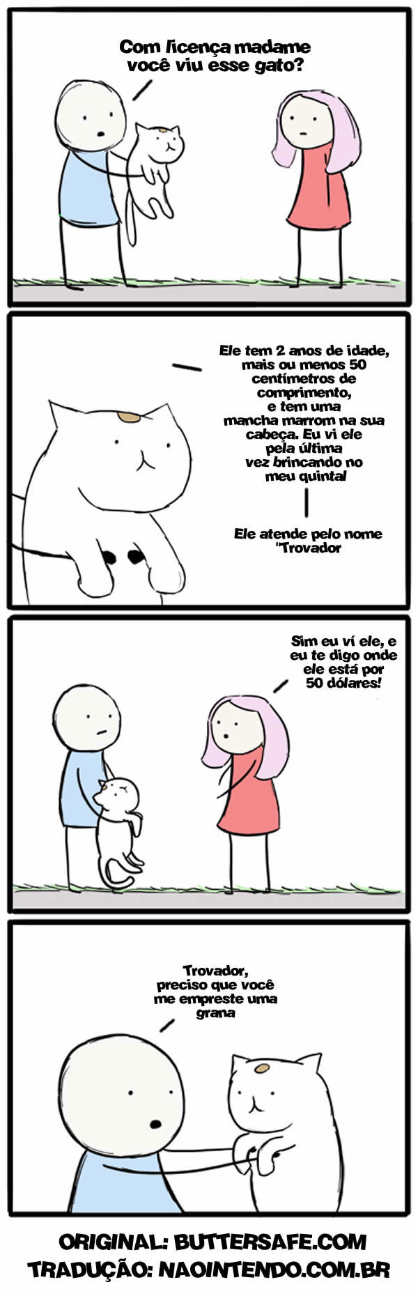 Viu-esse-gato