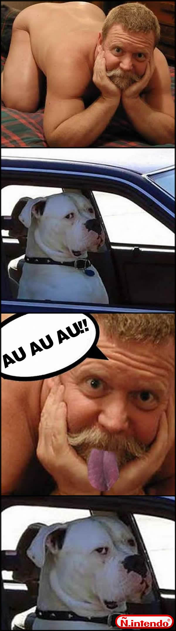 vaza