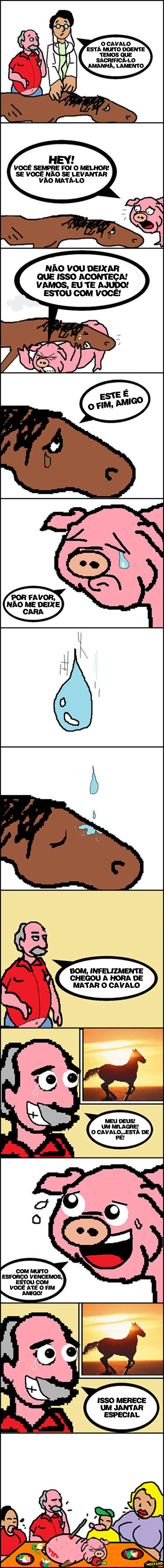 O Cavalo e o Porco