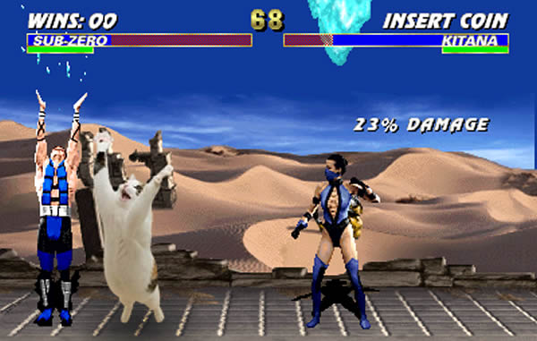 gato mortal 2