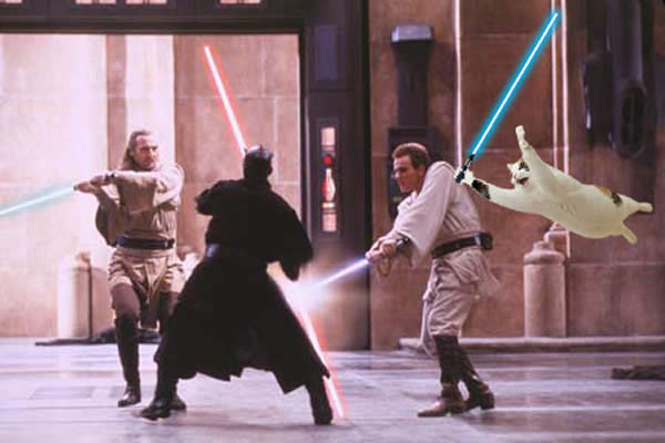 gato star wars