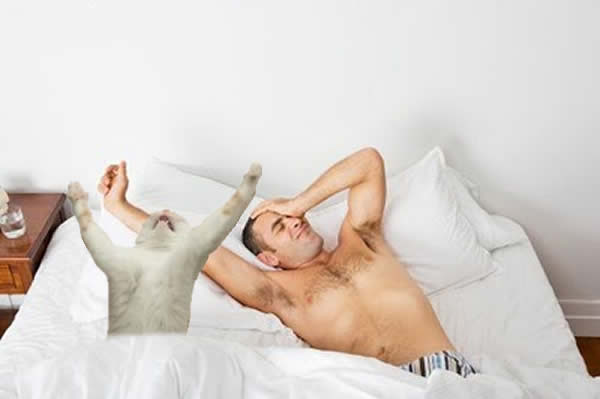 Gato Dramatico 7