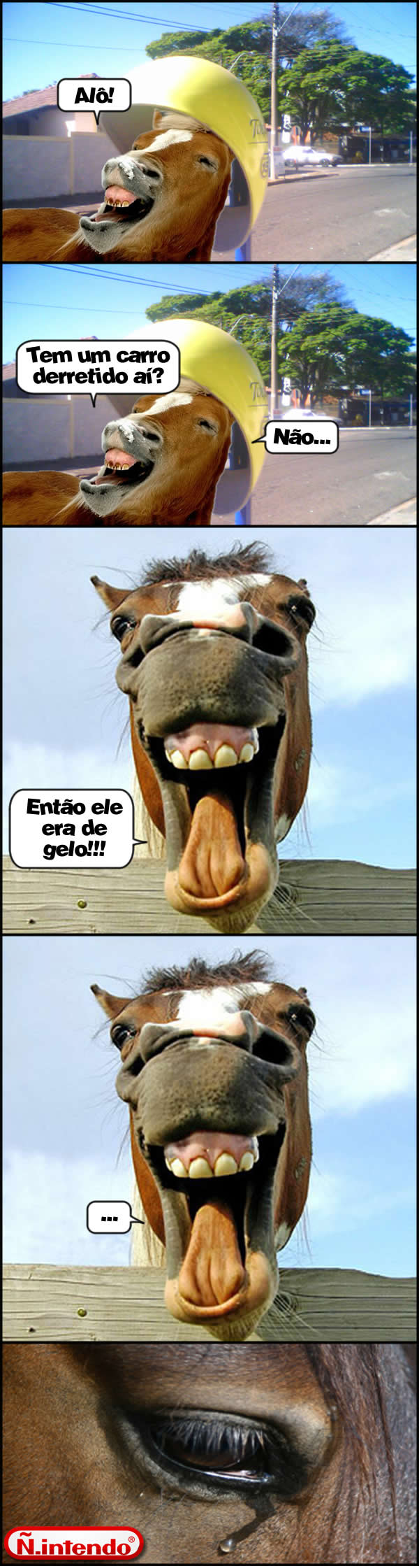 Cavalo
