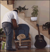 Karmagato.gif