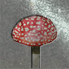 Big Mushroom