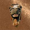 O cavalo que não sabia buscar