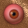 São seus olhos