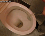 Mijo.gif