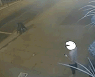 Cell.gif
