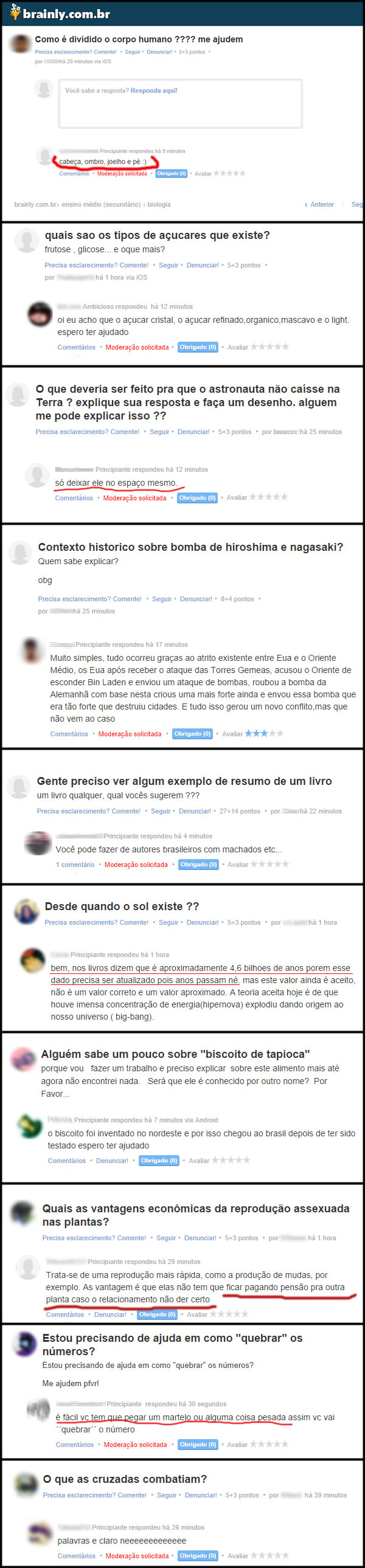 Brainly.jpg
