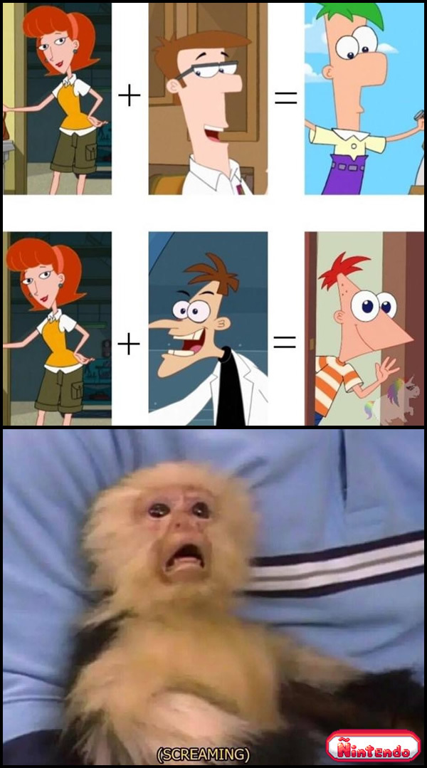 A Verdade Que Ninguém Havia Visto Antes