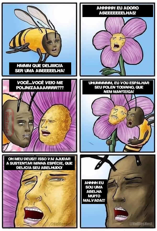 Explicando o Processo De Polinização