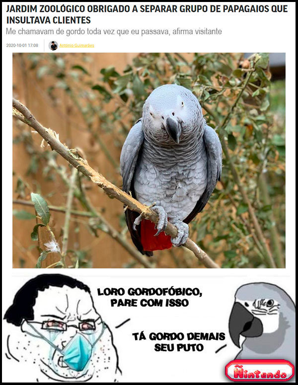 A Gangue Dos Loros Xingadores