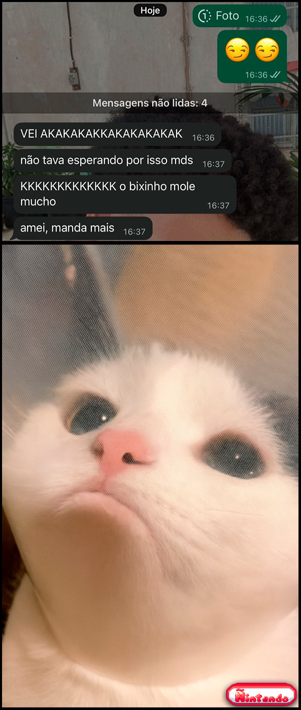 Fã Ou Hater?