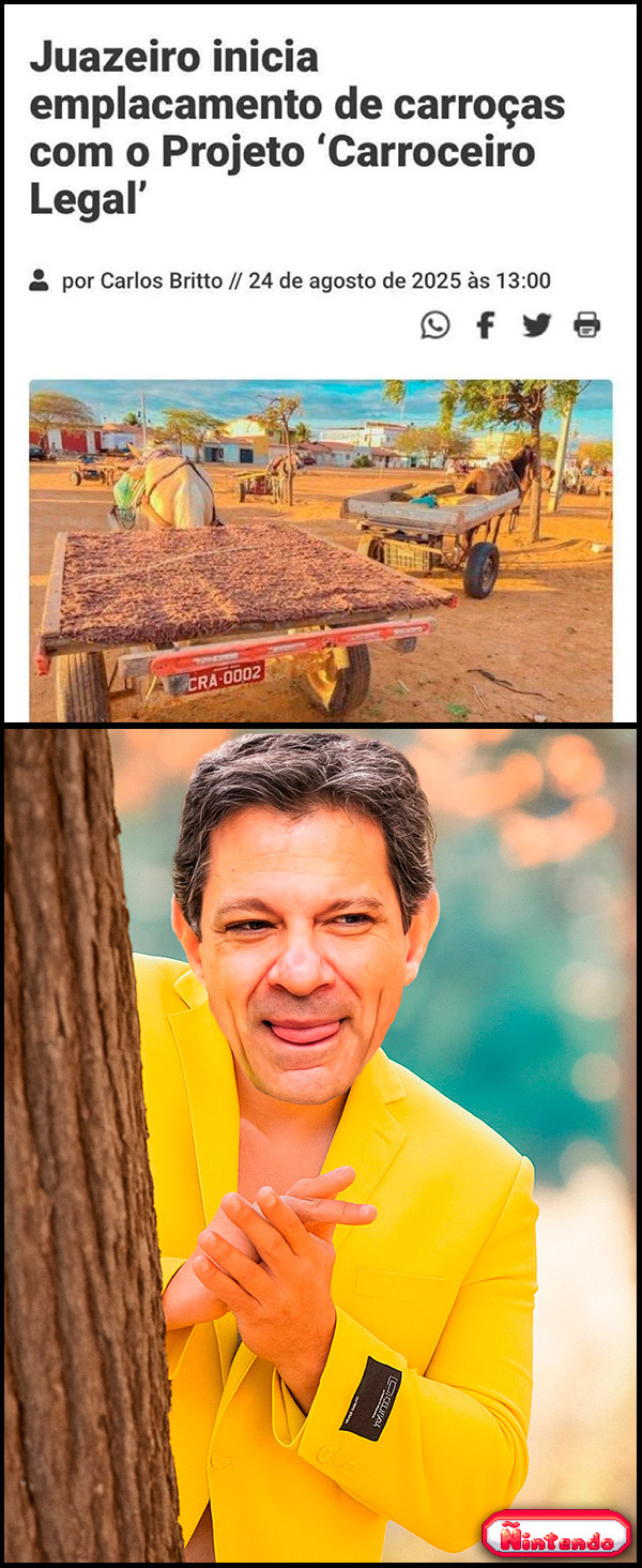 Carroceiro Legal