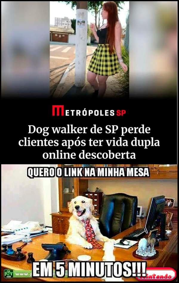 Meu Cachorro Pediu O Link