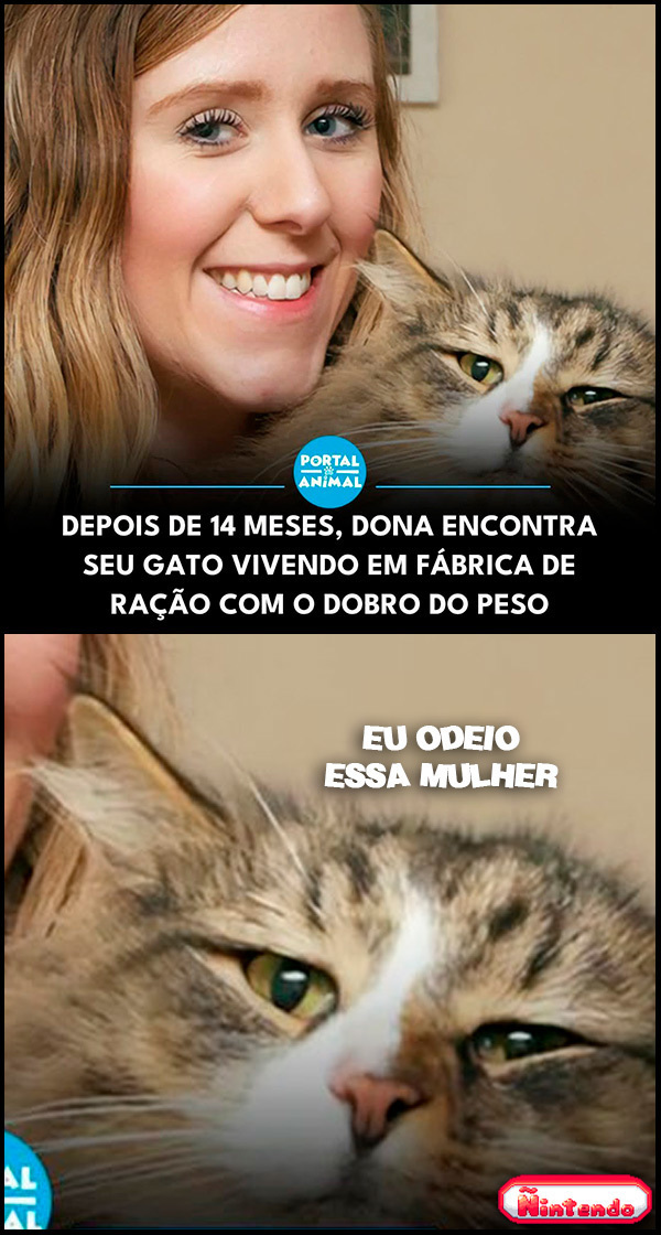 O Bicho Tava Vivendo O Sonho