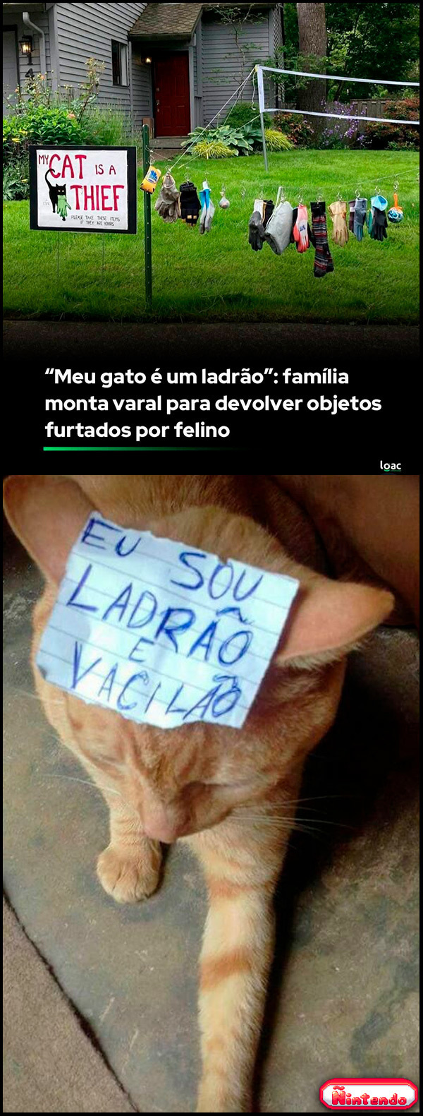 A Traição Vem De Quem A Gente Menos Espera